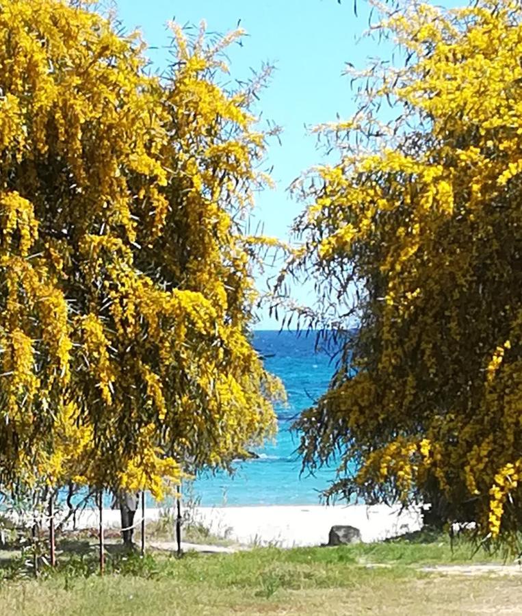 Villa Olia Tortolì Buitenkant foto